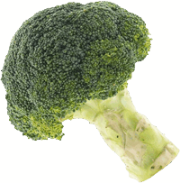 Groente